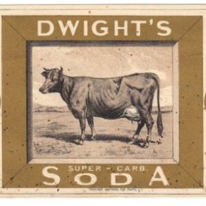Dwight's Soda trade card featuring cow